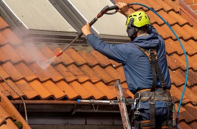 Démoussage et hydrofuge de toiture à Méailles